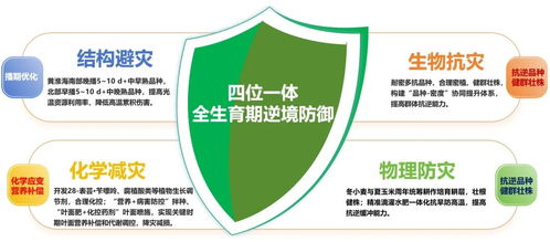 十六项硬核成果全景 山东农业大学“十四五”农业科研与试验发展巡礼