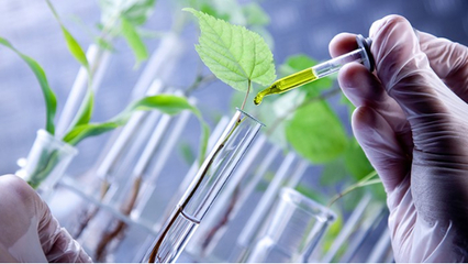 里贝里生物科技引进创新技术，引领水溶肥研发与生产新篇章