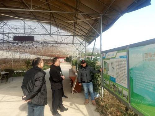 四川省农科院科技处党支部赴基层调研新型农业经营主体发展